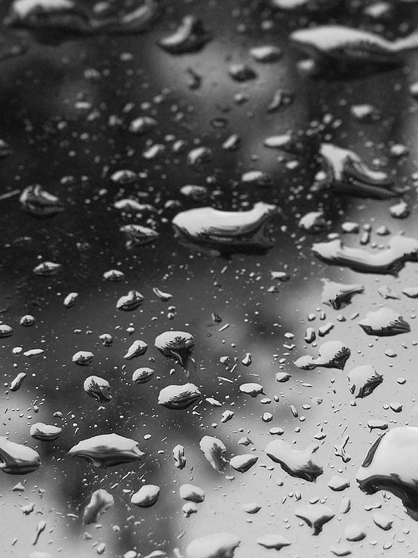 rain by hclemon