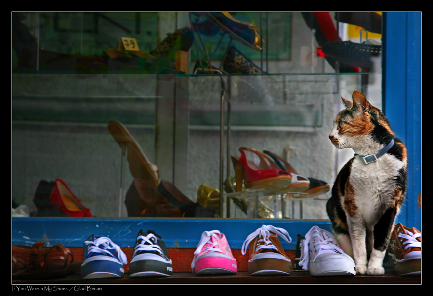 If You Were in My Shoes by gilad
