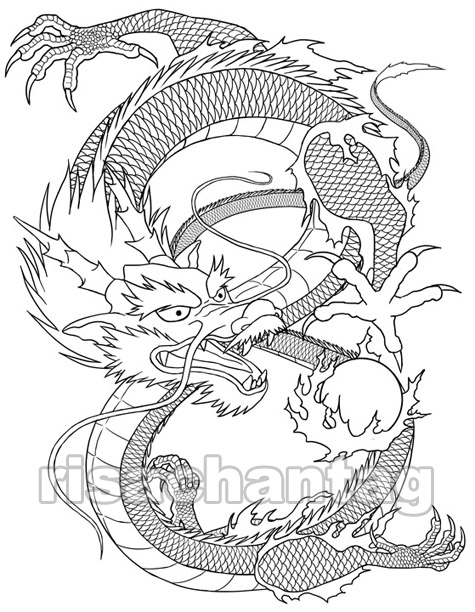 Dragon tattoos are very adaptable and flexible body art looks great and the 