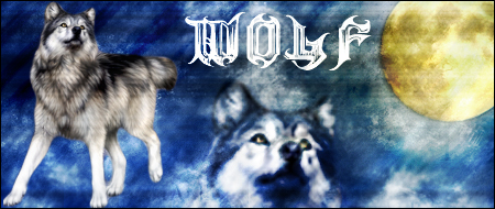 [Image: Wolf_Sig_by_Metallica1554.jpg]