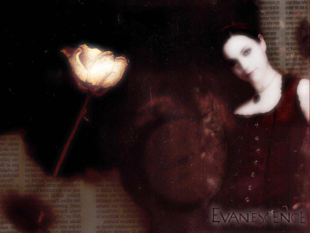 amy lee evanescence wallpapers
