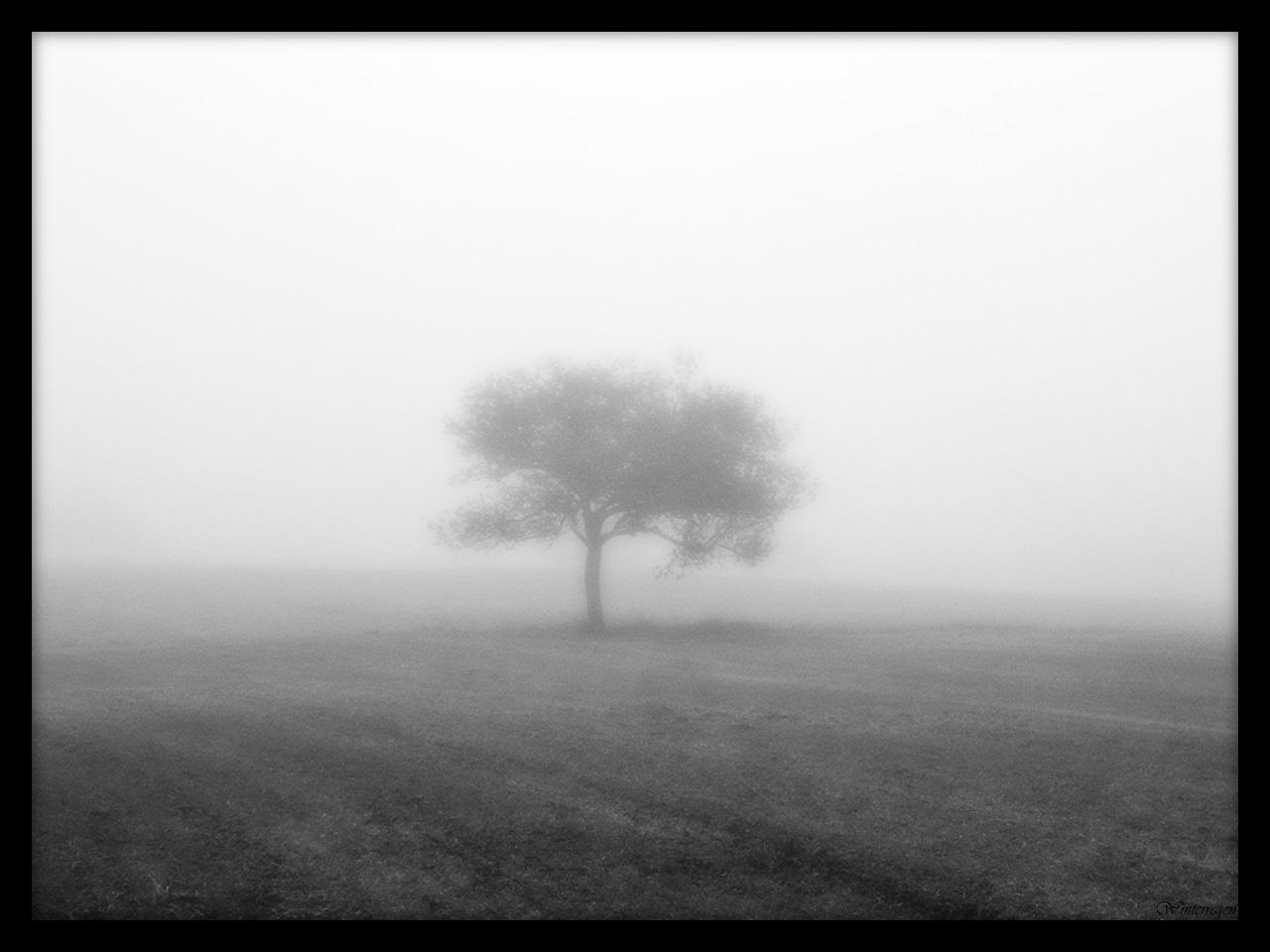The Silence of Loneliness by Winterregen