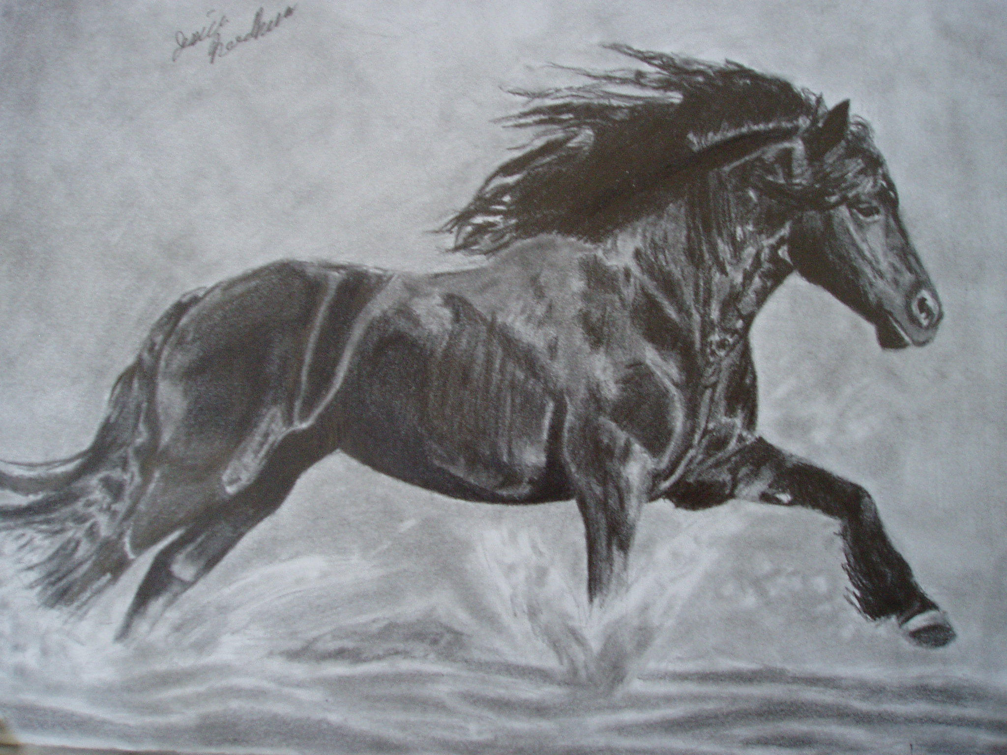Horse by ChristianScar